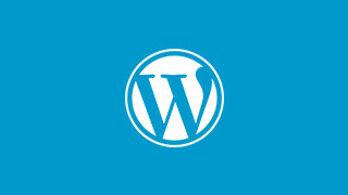 WordPress性能优化代码大全(持续更新)